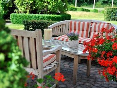 گولدن تولیپ زونبرجن