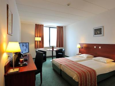 گولدن تولیپ زونبرجن