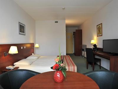 گولدن تولیپ زونبرجن