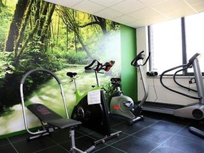 گولدن تولیپ زونبرجن