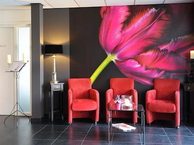 گولدن تولیپ زونبرجن