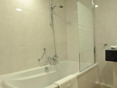 گولدن تولیپ زونبرجن