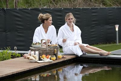 گولدن تولیپ زونبرجن