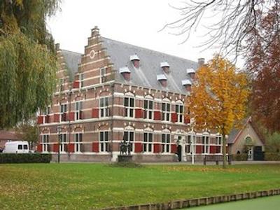 گولدن تولیپ زونبرجن