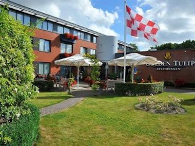 گولدن تولیپ زونبرجن