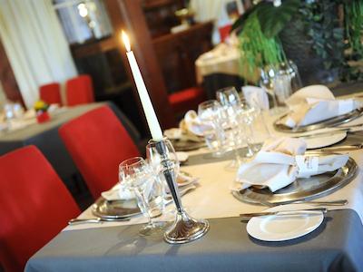 گولدن تولیپ زونبرجن