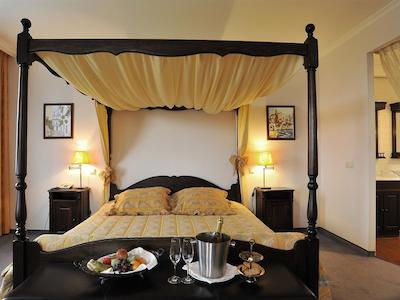 گولدن تولیپ زونبرجن