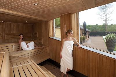 گولدن تولیپ زونبرجن