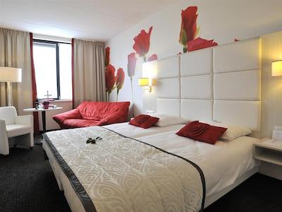 گولدن تولیپ زونبرجن