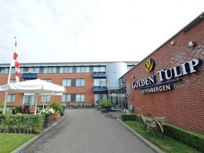 گولدن تولیپ زونبرجن