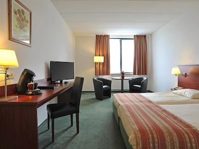 گولدن تولیپ زونبرجن