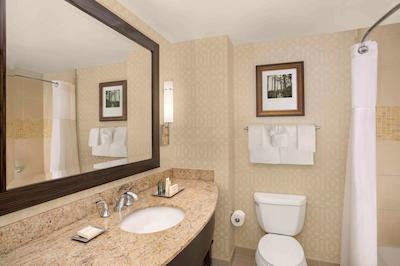 هیلتون اُرلاندو بنت کریک