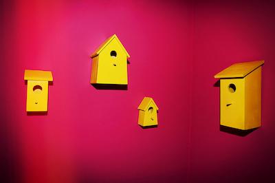 سوپربود است گئورگ