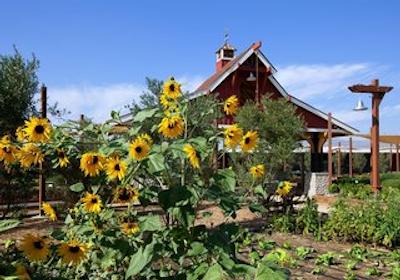 شراتون فیرپلکس هتل اند کنفرنس سنتر