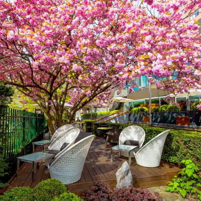 اُکورا امستردام