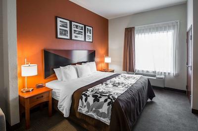 اسلیپ این اند سویتز پالاتکا