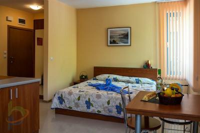 اکسسلسیر ساننی بیچ اپاردتل