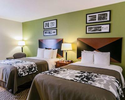 اسلیپ این اند سویتز