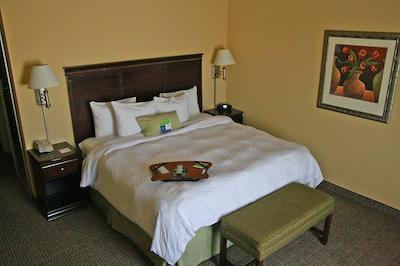 هامپتون این ایندیاناپلیز نردوست-پارک 100