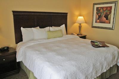 هامپتون این ایندیاناپلیز نردوست-پارک 100