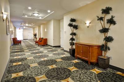 هیلتون گاردن این تامپا اسودیست/ریورویو