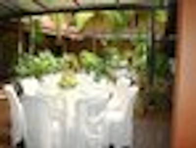 سلینا مدلین