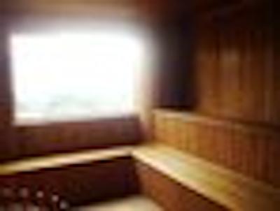 سلینا مدلین