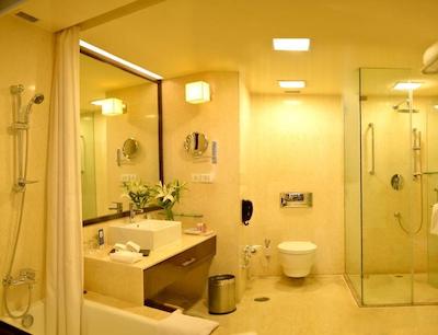 فورچون سلکت متروپولیتن جیپور