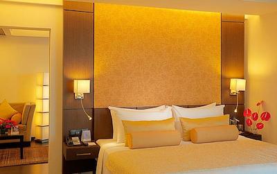 فورچون سلکت متروپولیتن جیپور