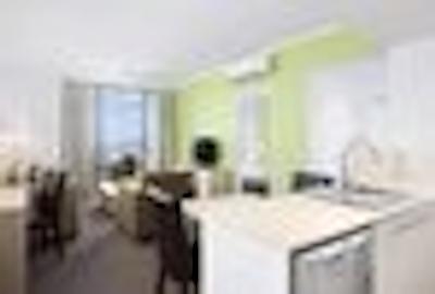 اُاکز گاتو سویتز