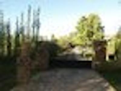 لارز د چاکراز