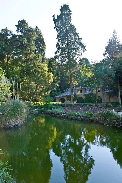 بوساکو پالاس