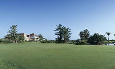 پالمری پالاس