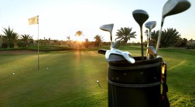 پالمری پالاس