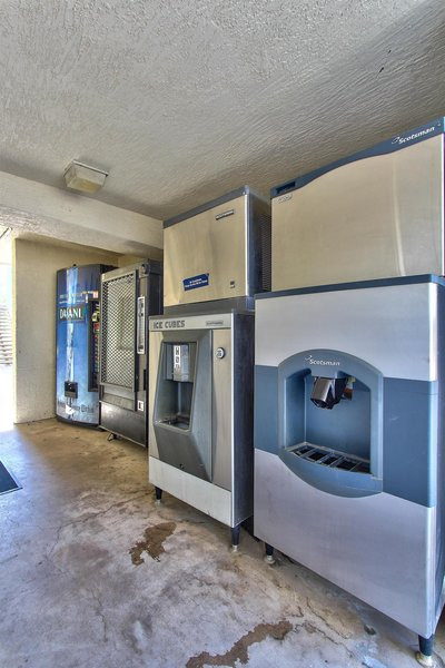 متل 6 فنیکس ایست