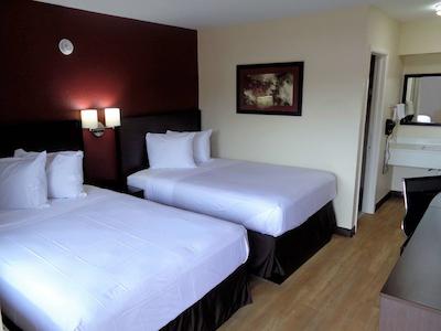 رد روف این هاتیسبورگ