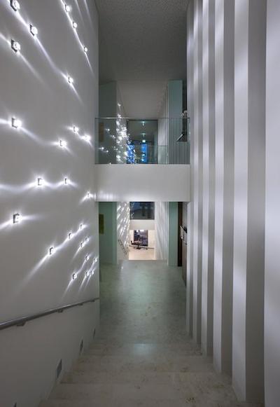 ملی لوکسمبورگ