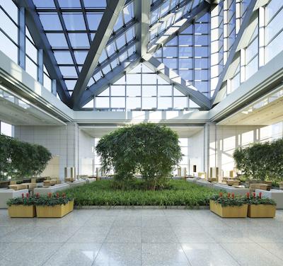 پارک هیات تکیو