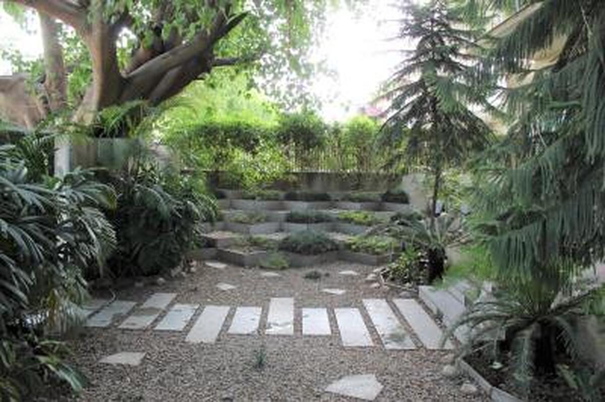 رنب سلکت د کلور گورگان