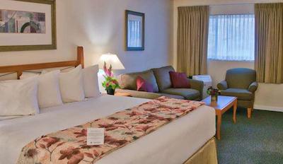 ربین هود متل ویکتریا