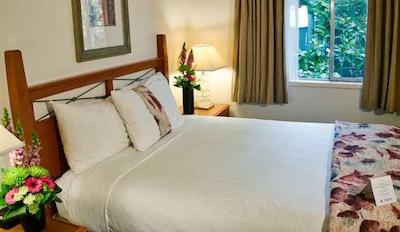 ربین هود متل ویکتریا