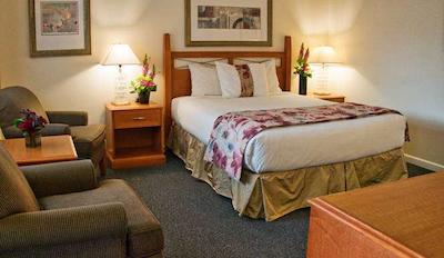 ربین هود متل ویکتریا