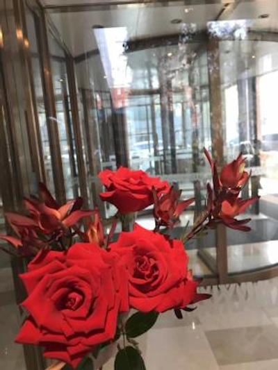 گوتل کپیتال