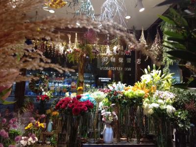 گوتل کپیتال