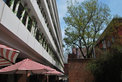 گوتل کپیتال