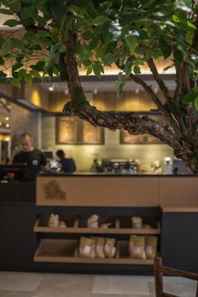 گوتل کپیتال