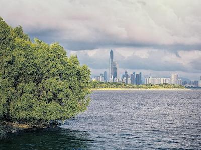 لانگشان هتل شنزهن