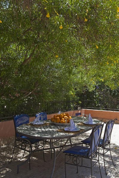 پالیز اسالام