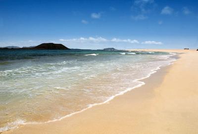 لاز دوناز رسیدنشیال