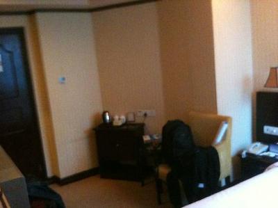 وینا هتل شنزهن اینترنیشنال